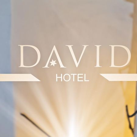 Hotel David An Der Donau Regensburg Ngoại thất bức ảnh